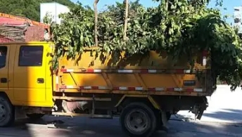 嘉定区垃圾清运哪家好