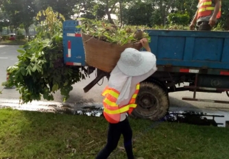 徐汇区垃圾清运